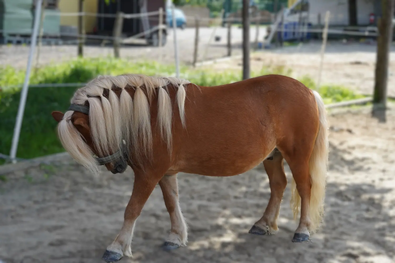 Geburtstagstorte von Vanessa Lidynia